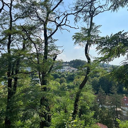 Luxuswohnung In Villa Mit Fantastischem Blick Karlsruhe Exterior foto
