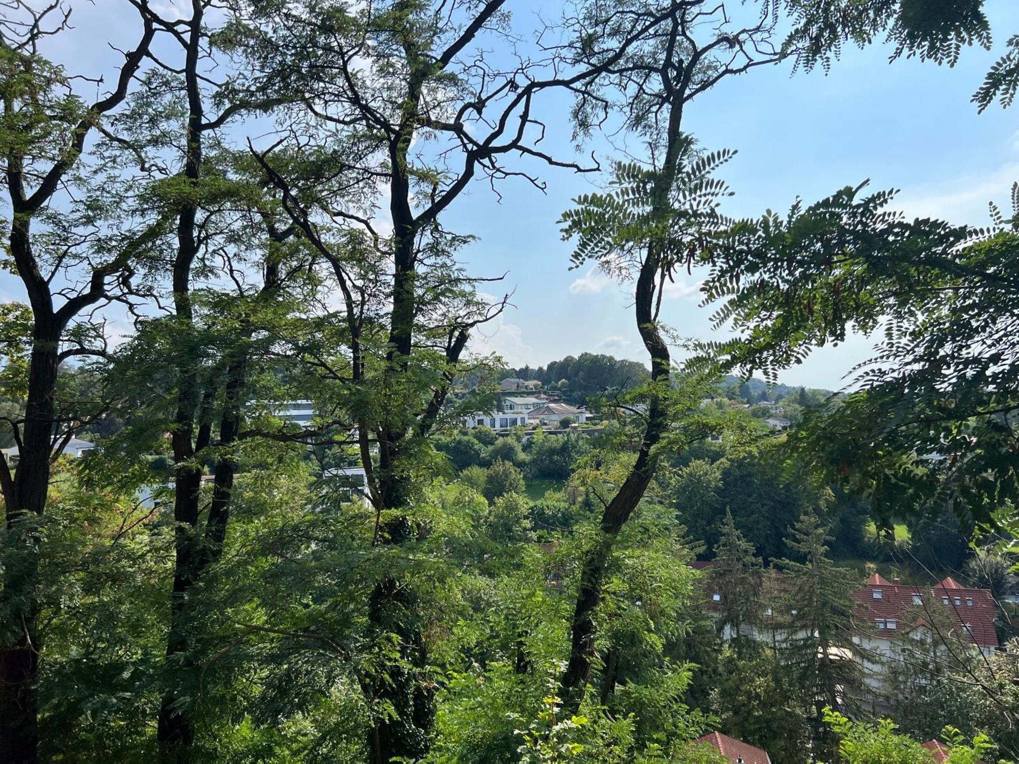 Luxuswohnung In Villa Mit Fantastischem Blick Karlsruhe Exterior foto